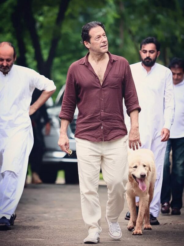 77fda220-9dd6-41a7-a896-a69c6f6cf2c6